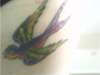 Ribcage! tattoo
