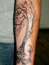 Tree tattoo