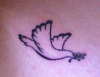 Dove tattoo