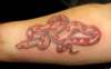 Snakes tattoo