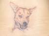 Evil Frodo tattoo