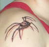 Spider tattoo on my shoulder