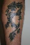 Dragon tattoo