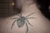 spider tattoo
