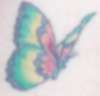 Butterfly tattoo