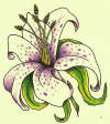Flower drawing tattoo