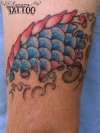 squame tattoo