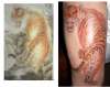 "el Tigre" 1st ink... tattoo
