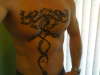 Tribal dragon,Chest ! tattoo