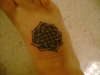 Celtic Knot tattoo