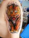 TIGER TATTOO SCHOOL THAILAND HUA HIN