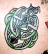 celtic dragon. tattoo