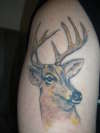 Deer Tattoo 1st one!! tattoo