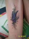 Kristina's Butterfly tattoo
