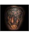 Rotty portrait tattoo