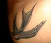 Swallow Tattoo