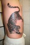 Tiger Rib Cage tattoo
