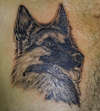 German Shepherd portrait tattoo