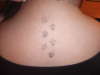 My pawprints tattoo