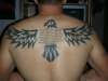 eagle on my back tattoo