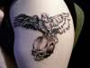 Dove and Crow tattoo