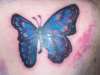 flutter by tattoo