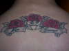 roses tattoo