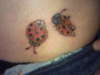 Lady Bugs tattoo