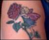 the rose fairy tattoo