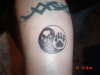 ying yang w/ wolf paws tattoo