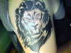 lion tattoo