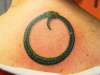Snake Circle tattoo
