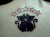 Cat Tattoo
