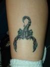 scorpian tattoo