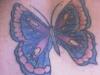 Butterfly Lower Back. tattoo