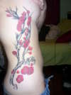 Cherry Blossom Branch tattoo