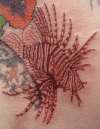 A close up of the lionfish tattoo