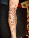 Family Tree 2 tattoo
