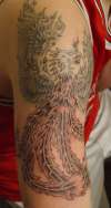 Pheonix Series of three pics tattoo