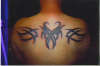 Tribal tattoo