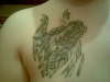 Dragon tattoo