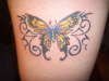 butterfly tattoo