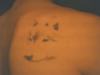 Wolf tattoo