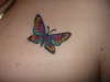 my pretty butterfly tattoo