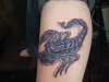 scorpian tattoo