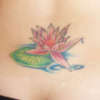 Back lotus tattoo