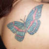 Butterfly on shoulder tattoo
