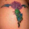 Scottish Thistle tattoo