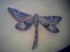 dragonfly fix tattoo