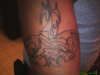 my newest tattoo
